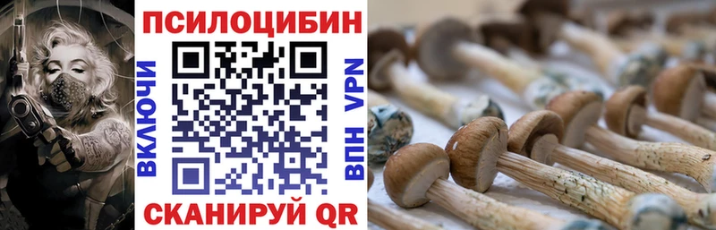 Псилоцибиновые грибы мухоморы  Купить где  Котельники 